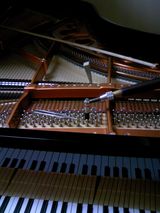 070d6011.jpg