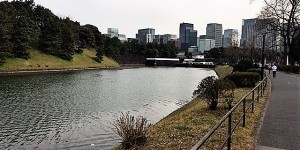 早く目が覚めた！