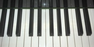 20世紀初頭のベヒシュタイン＆スタインウェイ　その9　鍵盤
