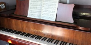 ベヒシュタイン L-165　ピアノが語ってくれたもの　レビュー編