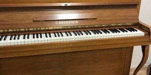 ベヒシュタイン 12b　　ピアノが語ってくれたもの　レビュー編