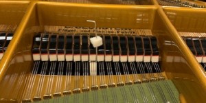 C.BECHSTEIN　C-232（C91)　1994年製　素敵なピアノです。