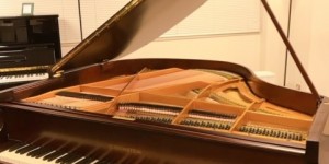 C.BECHSTEIN　S-145　輸入ピアノ　ピアノパッサージュ 入荷しました。