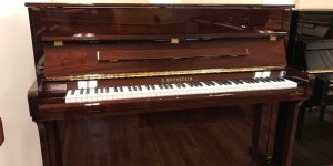 C.BECHSTEIN　コントア　R118　　輸入ピアノ　ピアノパッサージュ