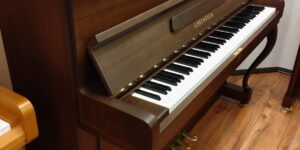 ベヒシュタイン　12ｂ　チッペンデール　入荷しました。　