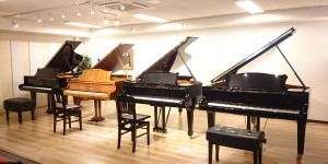 ピアノが語ってくれたものシリーズ　ピアノの響板特性とハーモニー調律　その4　f0に近いKeyの発見方法