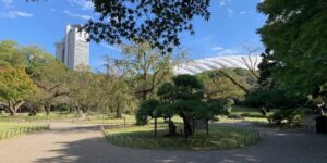 この間、「じゅん散歩」で紹介していた小石川後楽園